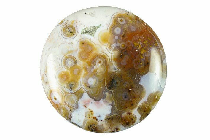 Polished Ocean Jasper Stone - New Deposit #293644